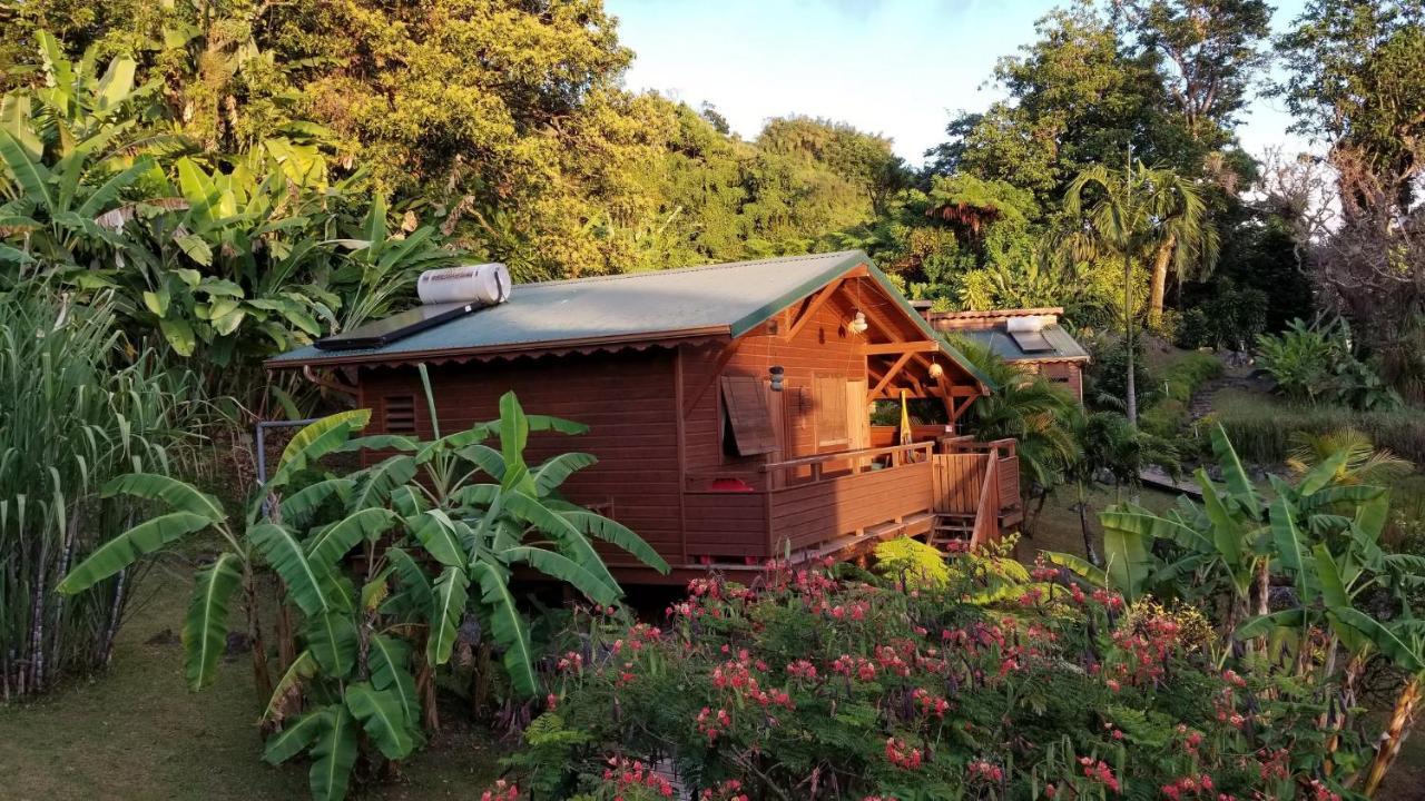 Les Bananes Vertes Ecolodges Saint-Claude Ngoại thất bức ảnh