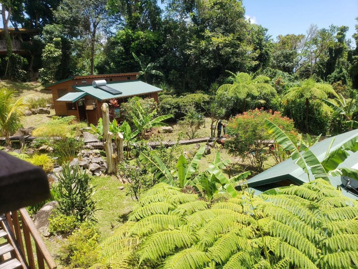 Les Bananes Vertes Ecolodges Saint-Claude Ngoại thất bức ảnh