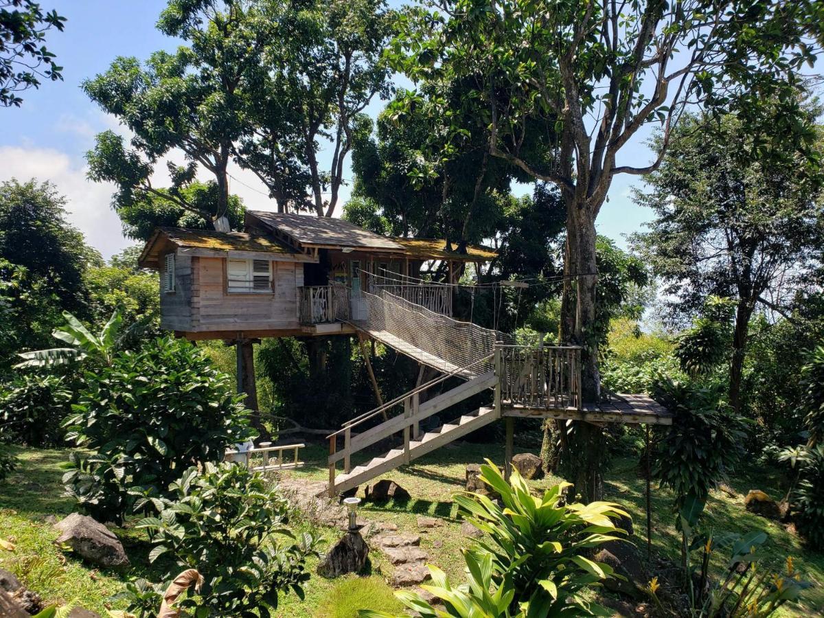 Les Bananes Vertes Ecolodges Saint-Claude Ngoại thất bức ảnh