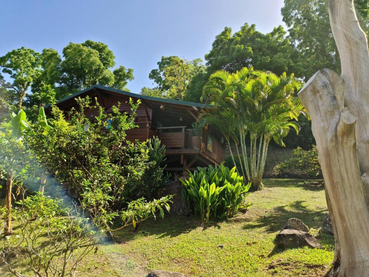 Les Bananes Vertes Ecolodges Saint-Claude Ngoại thất bức ảnh