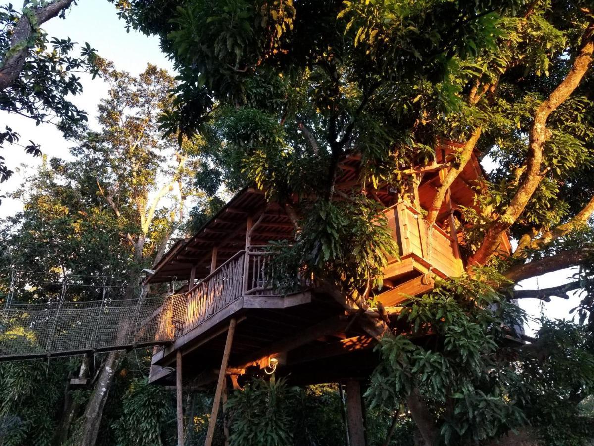 Les Bananes Vertes Ecolodges Saint-Claude Ngoại thất bức ảnh