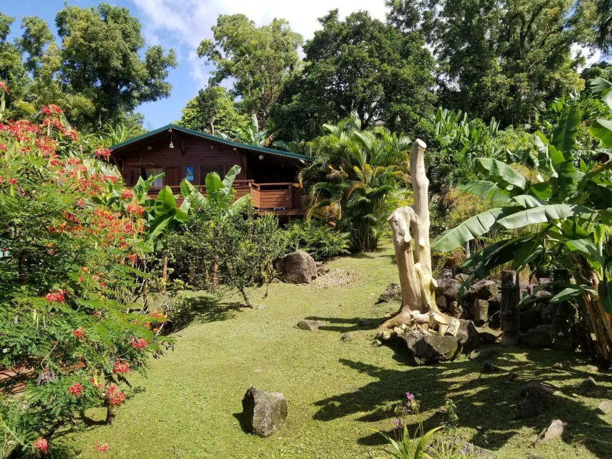Les Bananes Vertes Ecolodges Saint-Claude Ngoại thất bức ảnh