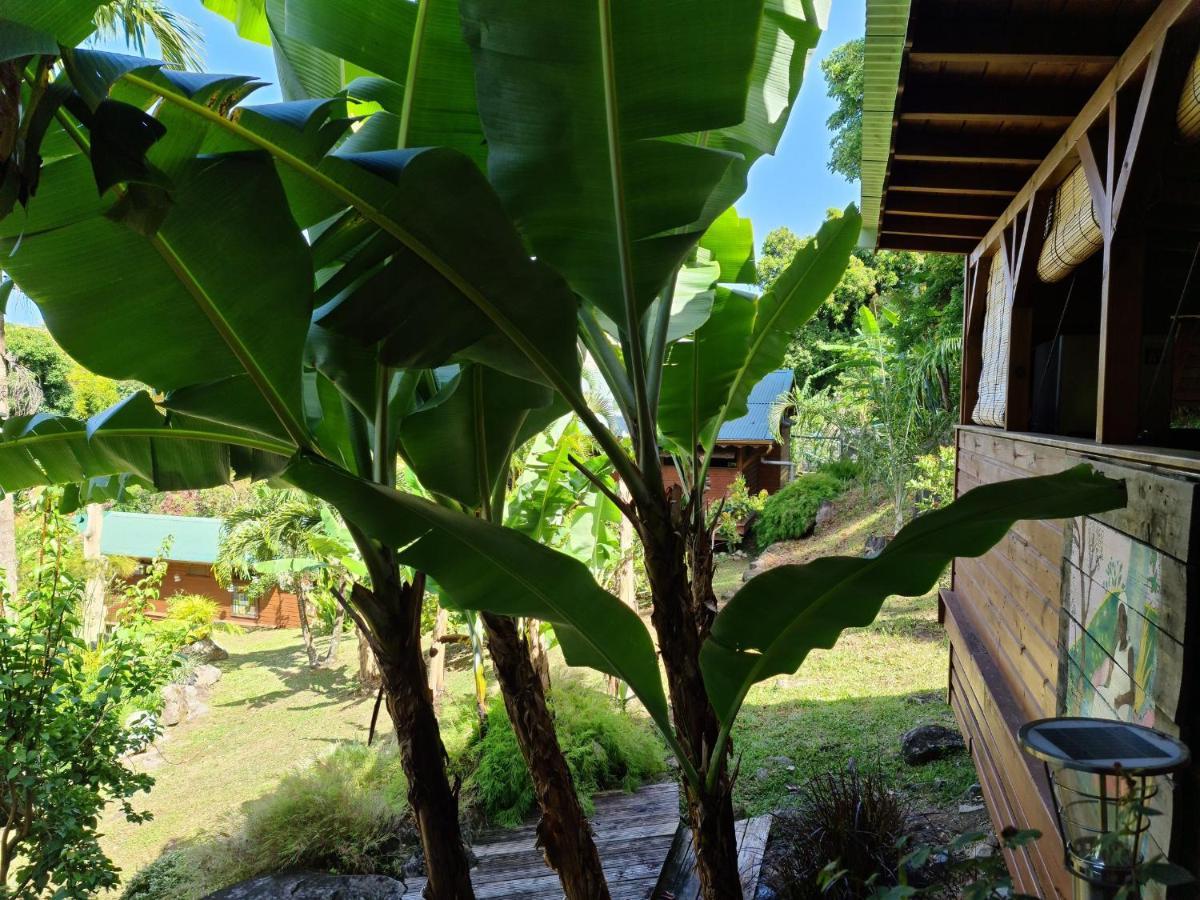 Les Bananes Vertes Ecolodges Saint-Claude Ngoại thất bức ảnh