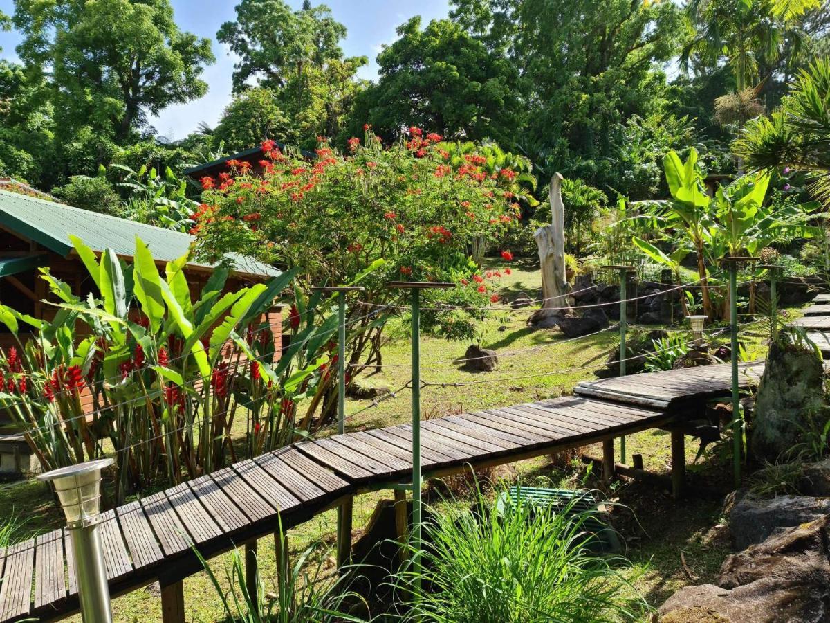 Les Bananes Vertes Ecolodges Saint-Claude Ngoại thất bức ảnh