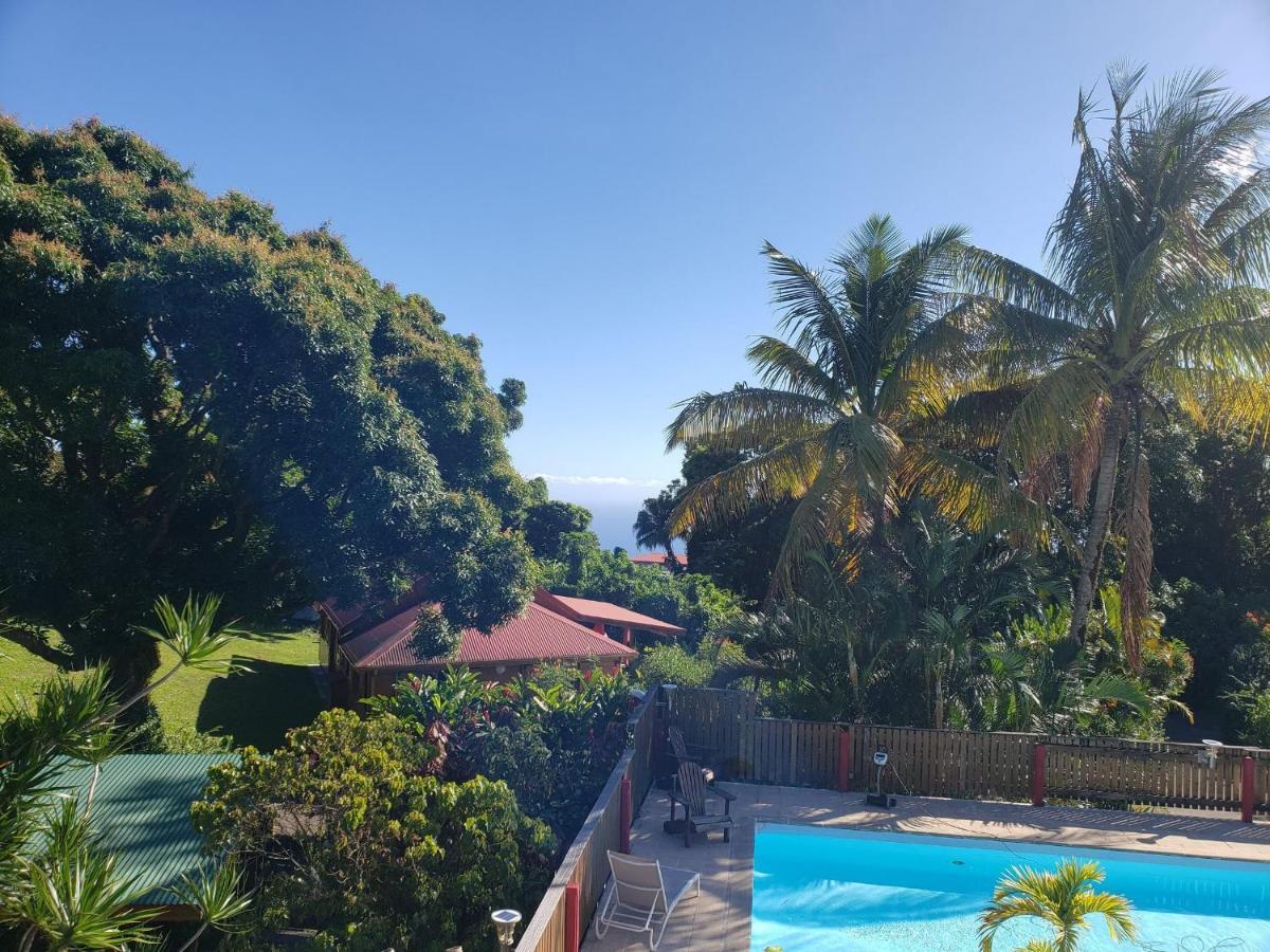 Les Bananes Vertes Ecolodges Saint-Claude Ngoại thất bức ảnh