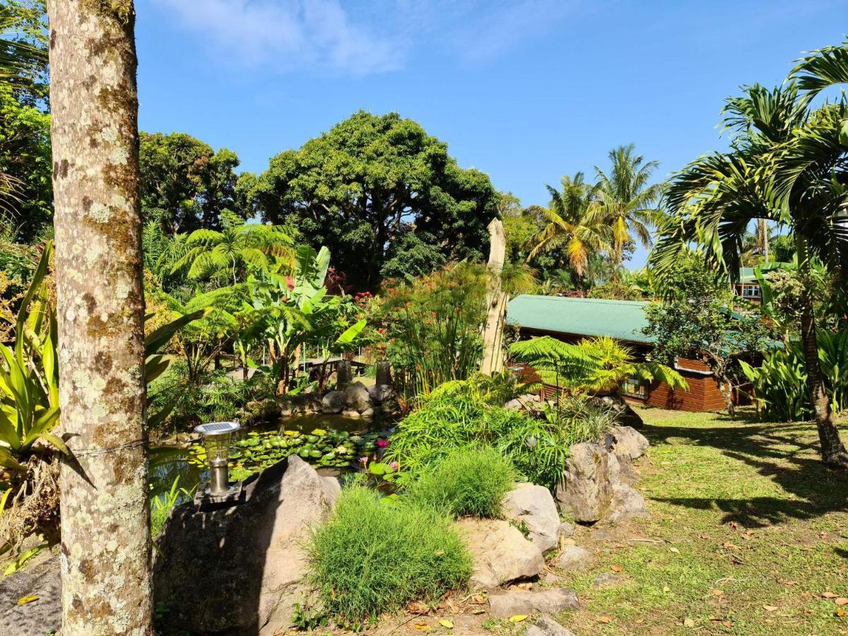 Les Bananes Vertes Ecolodges Saint-Claude Ngoại thất bức ảnh