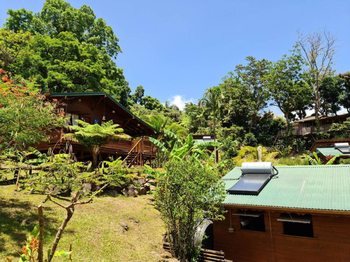 Les Bananes Vertes Ecolodges Saint-Claude Ngoại thất bức ảnh