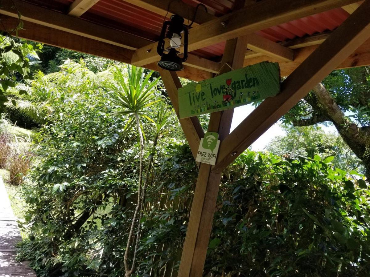 Les Bananes Vertes Ecolodges Saint-Claude Ngoại thất bức ảnh