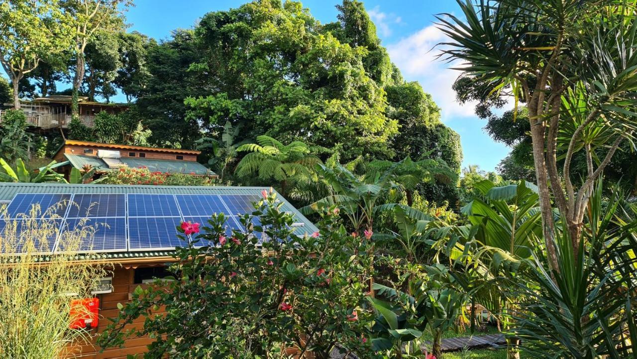 Les Bananes Vertes Ecolodges Saint-Claude Ngoại thất bức ảnh
