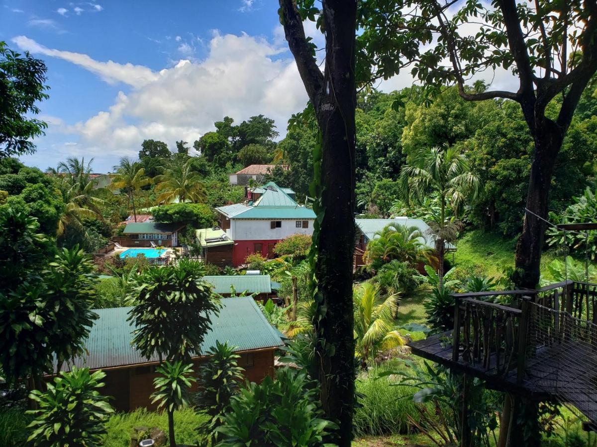 Les Bananes Vertes Ecolodges Saint-Claude Ngoại thất bức ảnh