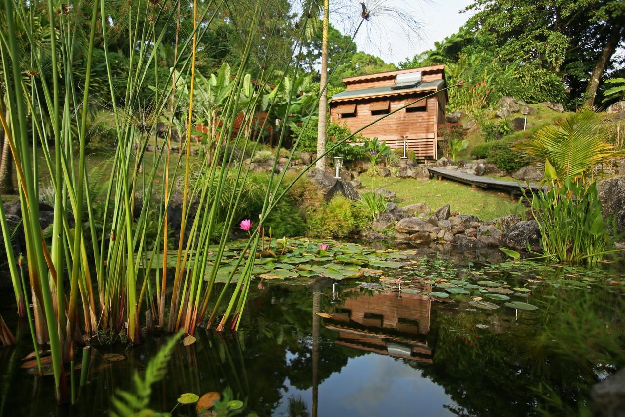 Les Bananes Vertes Ecolodges Saint-Claude Ngoại thất bức ảnh